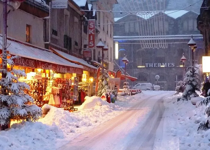 Duplex T3 Avec Terrasse Et Garage, Wifi, Pour 6 Personnes Au Mont-dore - Fr-1-608-72 Appartement *